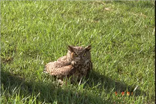 small_9400 1830 cewIMG0043.webp